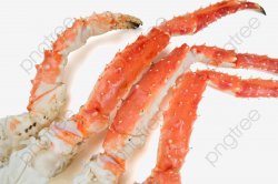 Crabs Crab Crab Legs, Hairy Crab, Crab, Crab Legs PNG ...