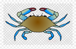 Chesapeake Blue Crab Clipart Dungeness Crab Clip Art - Blue ...