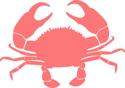 Crab clipart 3 - Clipartix