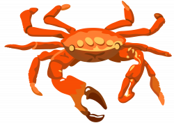 28+ Collection of Crab Clipart Transparent Background | High quality ...