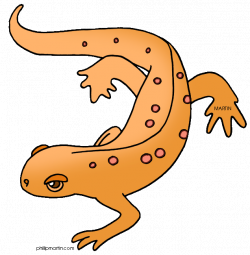 Newt Clip Art | Use these free images for your websites, art ...