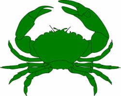 Green Crab Clip Art at Clker.com - vector clip art online ...