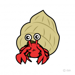 Hermit crab Clipart Free Picture｜Illustoon