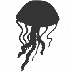 Jellyfish Silhouette Images & Pictures - Becuo | I Heart DIY ...