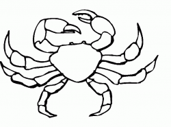 Crab Drawing For Kids | Free download best Crab Drawing For ...