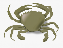 The Crab - Animals Live In Water And Land #81000 - Free ...