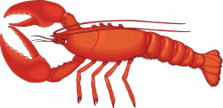 Lobster PNG HD - peoplepng.com