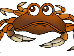19 Crab clipart HUGE FREEBIE! Download for PowerPoint presentations ...