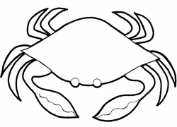 Free Crab Cliparts Outline, Download Free Clip Art, Free ...