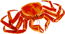 King crab clipart - Cliparting.com