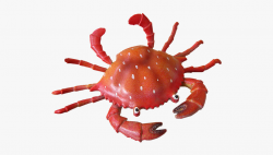 Crab Clipart Seafood Restaurant - Crabs #1091876 - Free ...