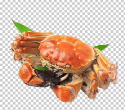 Yangcheng Lake Chinese Mitten Crab Seafood Chinese Cuisine ...