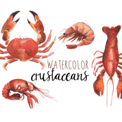 Watercolor Crustacean Clip Art, Nautical Clipart, Shrimp ...