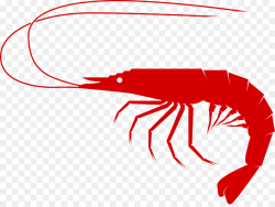 Shrimp Cartoon clipart - Shrimp, Clam, Crab, transparent ...