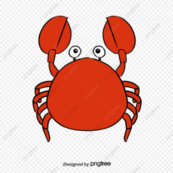 Crab, Cartoon Crab, Red Crab, Small Crabs PNG Transparent ...