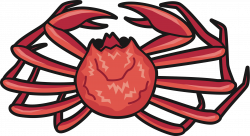 Snow Crab Icons PNG - Free PNG and Icons Downloads