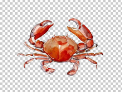 Crab Watercolor Painting Drawing PNG, Clipart, Animals ...