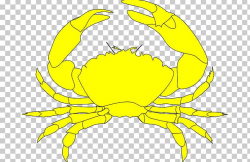 Dungeness Crab Yellow Nagatinskaya Ulitsa PNG, Clipart, 1y ...