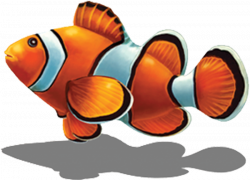 Little Tile Inc - online source to Clown Fish Series pool mosaics