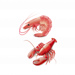 Seafood Homarus Cooking Red Lobster Clip art - Lobster poster ...