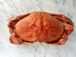 4 Easy Methods for Cooking Crab