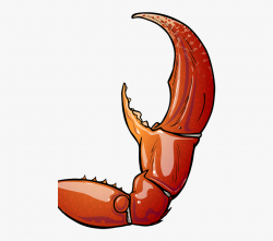 Crab Frames Illustrations Hd Images Photo Claw Ⓒ - Crab ...
