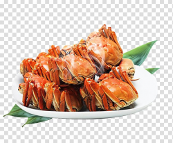 Crab Seafood Hot pot Poster Fishing industry, Hairy crabs ...