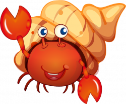 Crab Royalty-free Clip art - The crab cartoon conch 906*745 ...