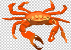 Dungeness Crab PNG, Clipart, Animal Source Foods, Chesapeake ...