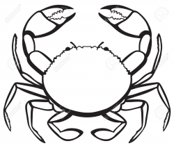 Crab Line Drawing | Free download best Crab Line Drawing on ...