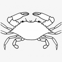 Crustacean Clipart Crab Drawing - Crab Black And White ...
