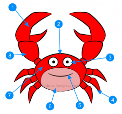 How to draw a crab clip art