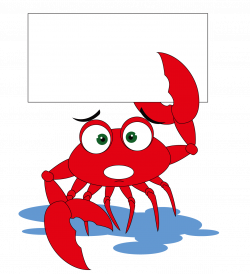 Crab Cartoon Illustration - Crab holding a sign 1194*1312 transprent ...