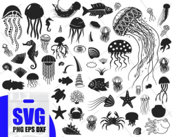 Jellyfish svg, Fish Svg, Sea clipart Svg, Sealife vector ...