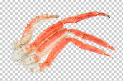 Download for free 10 PNG Crabs clipart king crab Images With ...