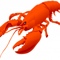 Lobster Clipart at GetDrawings.com | Free for personal use Lobster ...