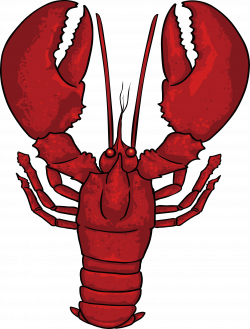 Dungeness crab Crayfish Homarus Clip art - Color lobster design 2645 ...