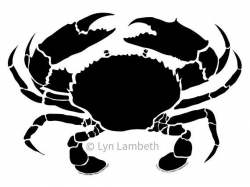 Crab clipart, instant download, hand drawn digital mud crab ...