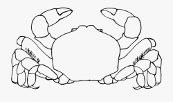 White Clipart Crab Ocean Animal Pictures Www Picturesboss ...