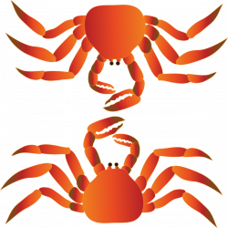 Crab-2 F2F - Leftover LogosLeftover Logos