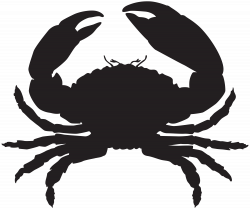 Florida stone crab Seafood Oyster Lobster - Crab Silhouette PNG Clip ...
