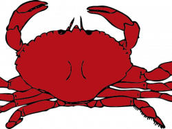 Animated Crabs , Transparent Cartoon - Jing.fm