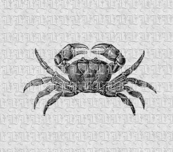 Digital Crab Clip Art Vintage Illustrations High Quality Printable Graphic  Instant Download 0469