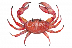 Crab painted with watercolors - Photos by Canva