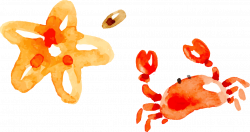 Crab Watercolor painting - Watercolor starfish crab 1238*657 ...