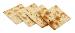 Saltine cracker - Wikipedia