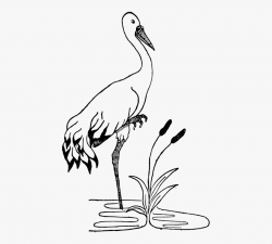 Crane Drawing Bird Black And White Stork - Crane Black And ...