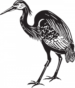 Great blue heron Crane Bird Clip art - crane png download ...