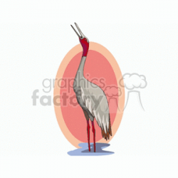 Side profile of a whooping crane clipart. Royalty-free clipart # 130295