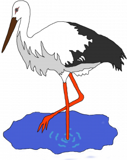 Clipart - Stork in a pond